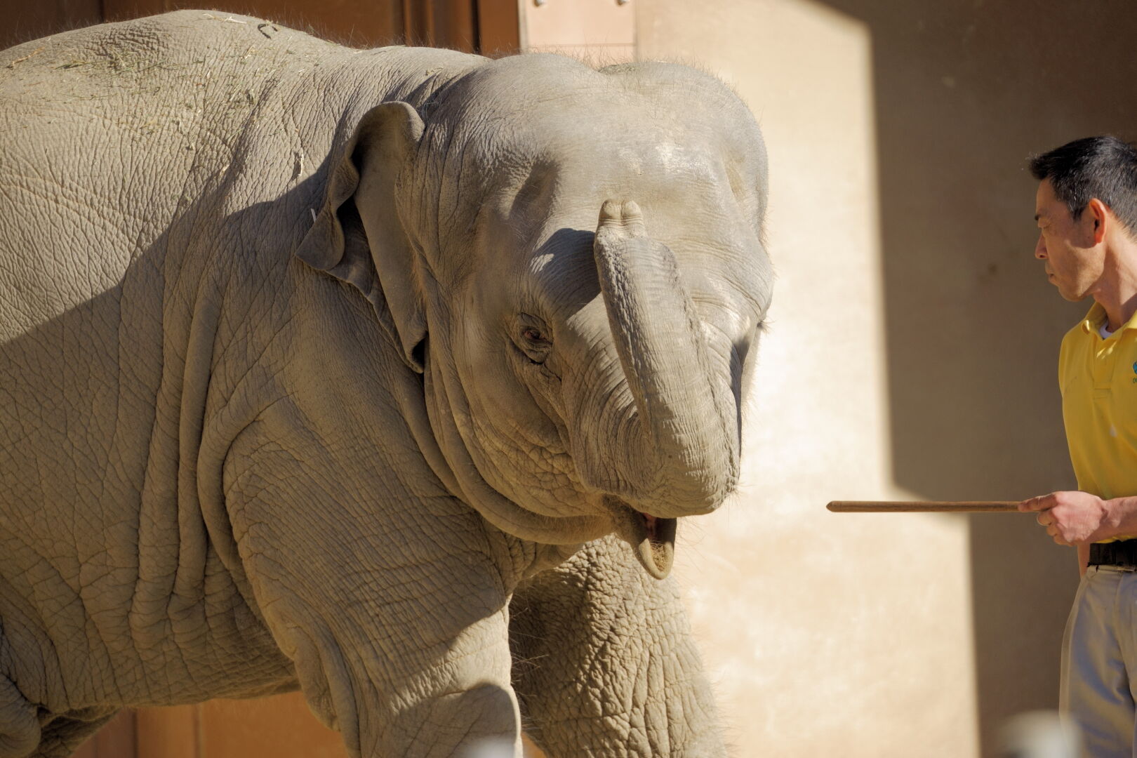 SIGMA Contemporary 100-400mm F5-6.3 DGDN